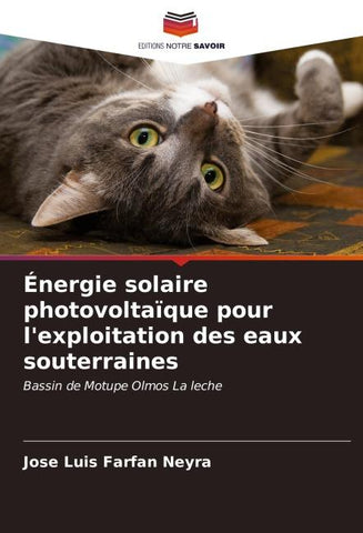 Énergie solaire photovoltaïque pour l'exploitation des eaux souterraines