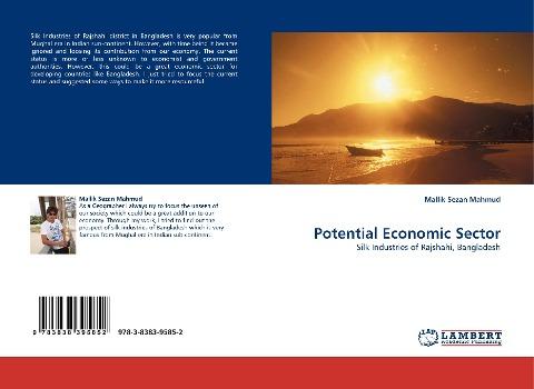 Potential Economic Sector
