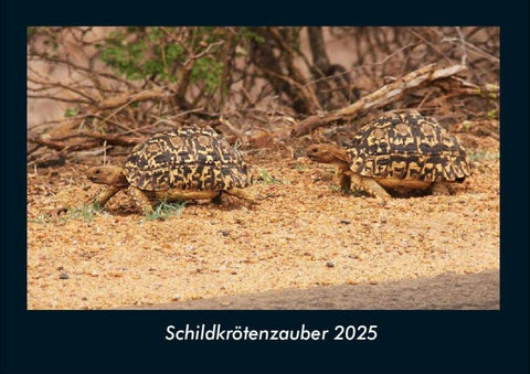 Schildkrötenzauber 2025 Fotokalender DIN A4