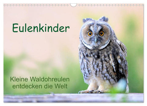 Eulenkinder - Kleine Waldohreulen entdecken die Welt (Wandkalender 2026 DIN A3 quer), CALVENDO Monatskalender