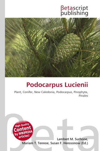 Podocarpus Lucienii