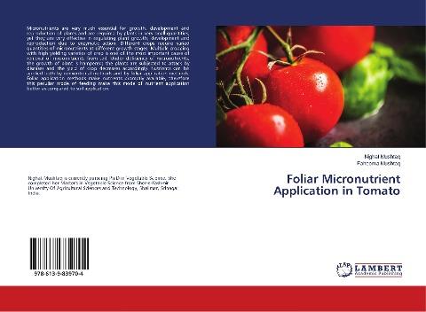 Foliar Micronutrient Application in Tomato
