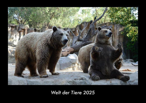 Welt der Tiere 2025 Fotokalender DIN A3