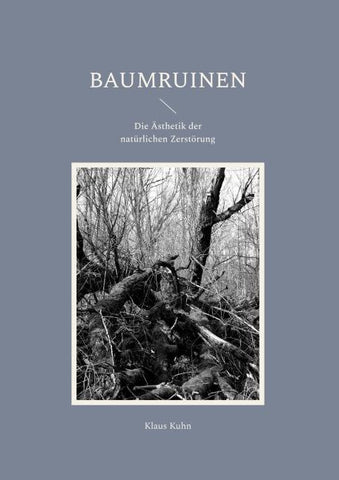Baumruinen