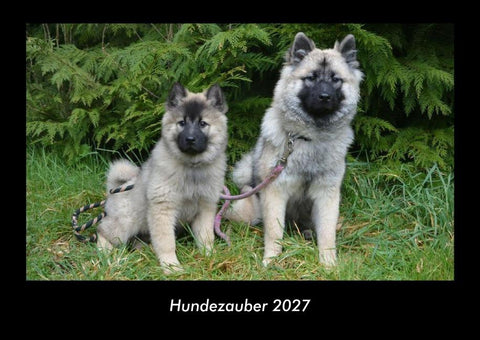 Hundezauber 2027 Fotokalender DIN A3