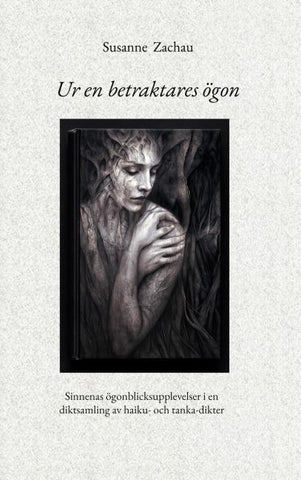 Ur en betraktares ögon