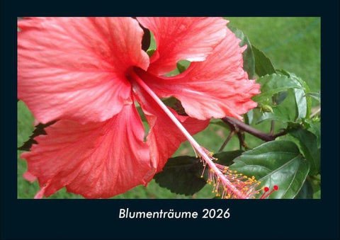 Blumenträume 2026 Fotokalender DIN A4