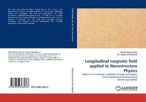 Longitudinal magnetic field applied to Nanostructure Physics