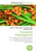 Drosophila Embryogenesis