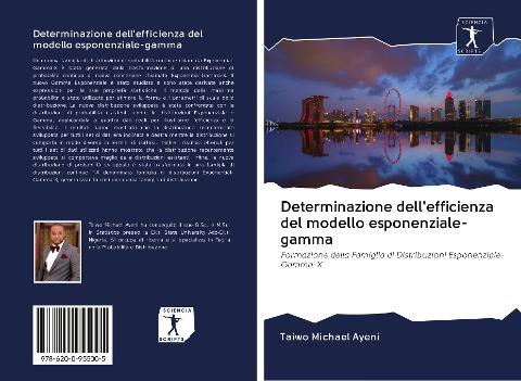 Determinazione dell'efficienza del modello esponenziale-gamma