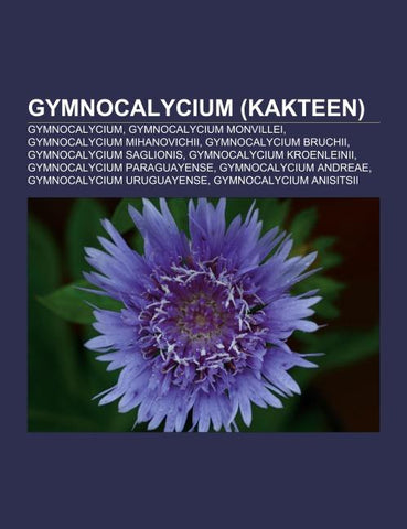 Gymnocalycium (Kakteen)