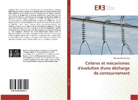 Critères et mécanismes d'évolution d'une décharge de contournement