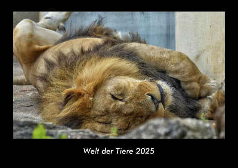 Welt der Tiere 2025 Fotokalender DIN A3
