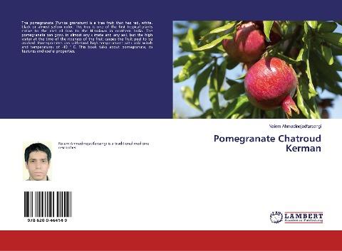 Pomegranate Chatroud Kerman