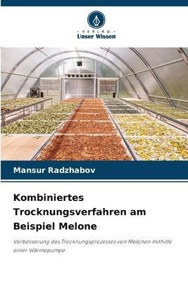 Kombiniertes Trocknungsverfahren am Beispiel Melone