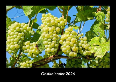 Obstkalender 2026 Fotokalender DIN A3