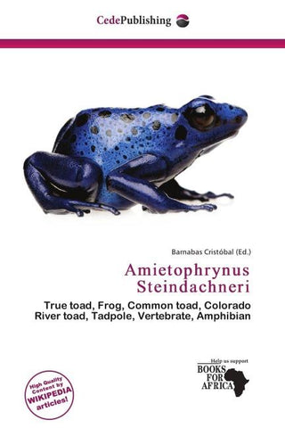 Amietophrynus Steindachneri