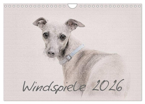 Windspiele 2026 (Wandkalender 2026 DIN A4 quer), CALVENDO Monatskalender