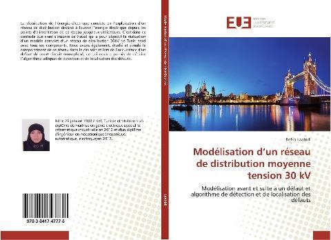 Modélisation d'un réseau de distribution moyenne tension 30 kV