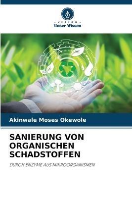 SANIERUNG VON ORGANISCHEN SCHADSTOFFEN