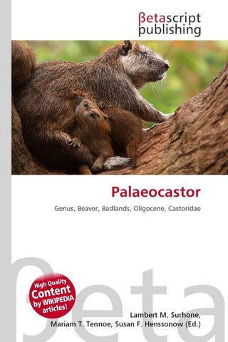 Palaeocastor