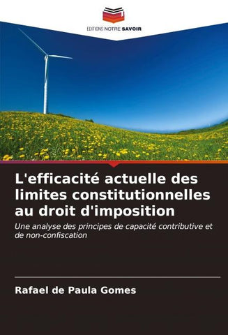 L'efficacité actuelle des limites constitutionnelles au droit d'imposition