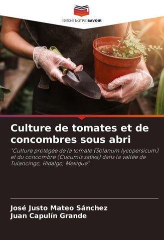 Culture de tomates et de concombres sous abri