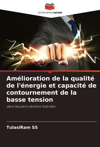 Amélioration de la qualité de l'énergie et capacité de contournement de la basse tension