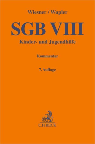 SGB VIII