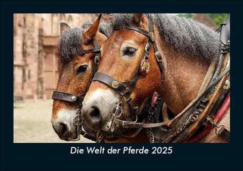 Die Welt der Pferde 2025 Fotokalender DIN A5