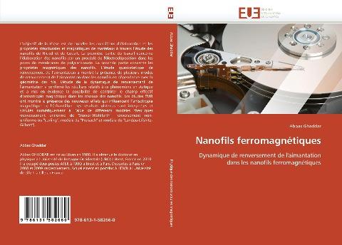 Nanofils ferromagnétiques
