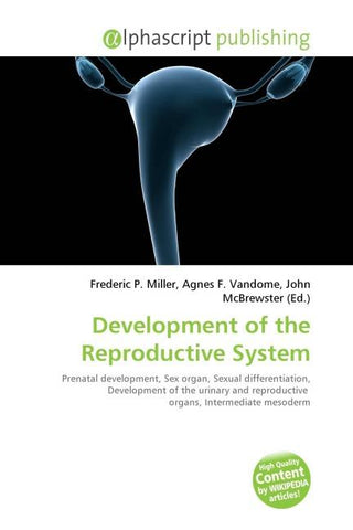 Development of the Reproductive System