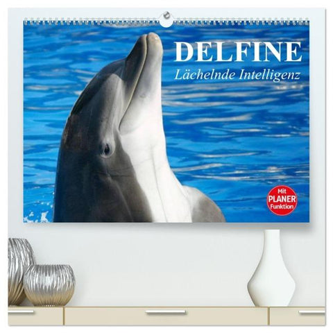 Delfine - Lächelnde Intelligenz (hochwertiger Premium Wandkalender 2026 DIN A2 quer), Kunstdruck in Hochglanz