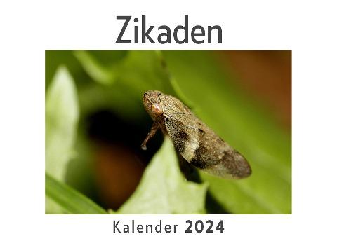 Zikaden (Wandkalender 2024, Kalender DIN A4 quer, Monatskalender im Querformat mit Kalendarium, Das perfekte Geschenk)