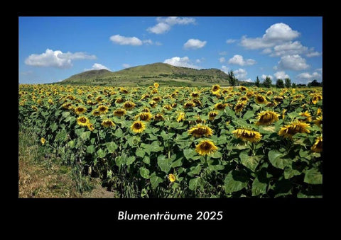 Blumenträume 2025 Fotokalender DIN A3