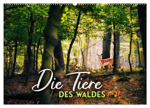 Die Tiere des Waldes (Wandkalender 2026 DIN A2 quer), CALVENDO Monatskalender