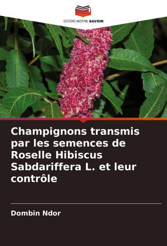 Champignons transmis par les semences de Roselle Hibiscus Sabdariffera L. et leur contrôle