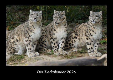 Der Tierkalender 2026 Fotokalender DIN A3