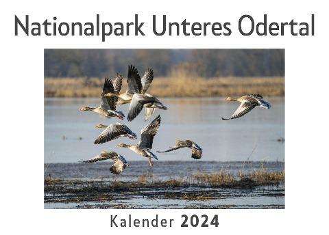 Nationalpark Unteres Odertal (Wandkalender 2024, Kalender DIN A4 quer, Monatskalender im Querformat mit Kalendarium, Das perfekte Geschenk)
