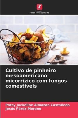 Cultivo de pinheiro mesoamericano micorrízico com fungos comestíveis