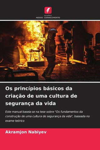 Os princípios básicos da criação de uma cultura de segurança da vida