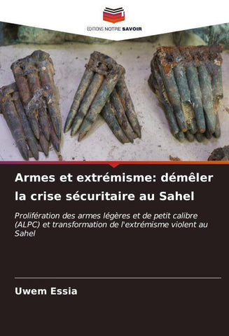 Armes et extrémisme: démêler la crise sécuritaire au Sahel