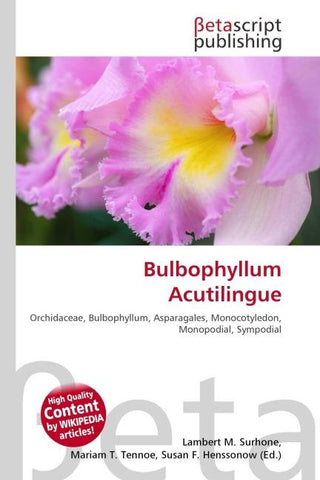 Bulbophyllum Acutilingue