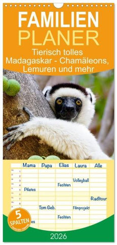 Familienplaner 2026 - Tierisch tolles Madagaskar - Chamäleons, Lemuren und mehr mit 5 Spalten (Wandkalender, 21 x 45 cm) CALVENDO