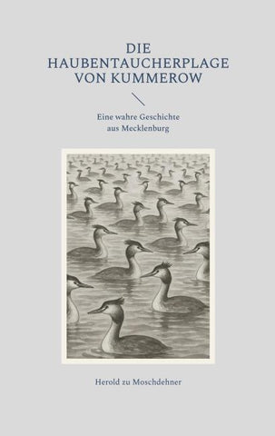 Die Haubentaucherplage von Kummerow