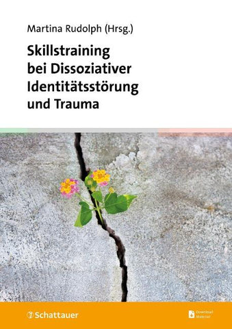Skillstraining bei Dissoziativer Identitätsstörung und Trauma