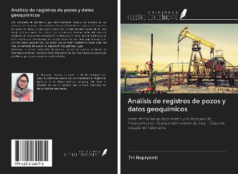 Análisis de registros de pozos y datos geoquímicos