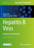 Hepatitis B Virus