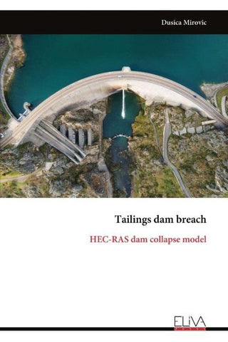 Tailings dam breach