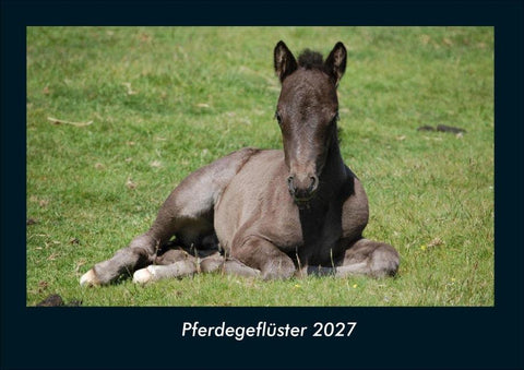 Pferdegeflüster 2027 Fotokalender DIN A4